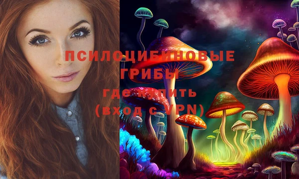 твердый Алексеевка