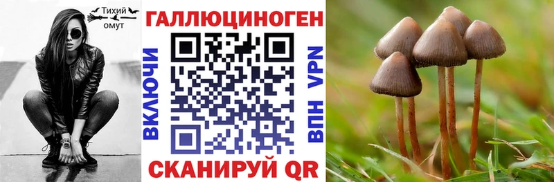 Галлюциногенные грибы мухоморы  гидра как войти  Каргат 