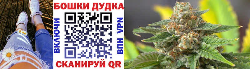 Каннабис ГИДРОПОН  Каргат 